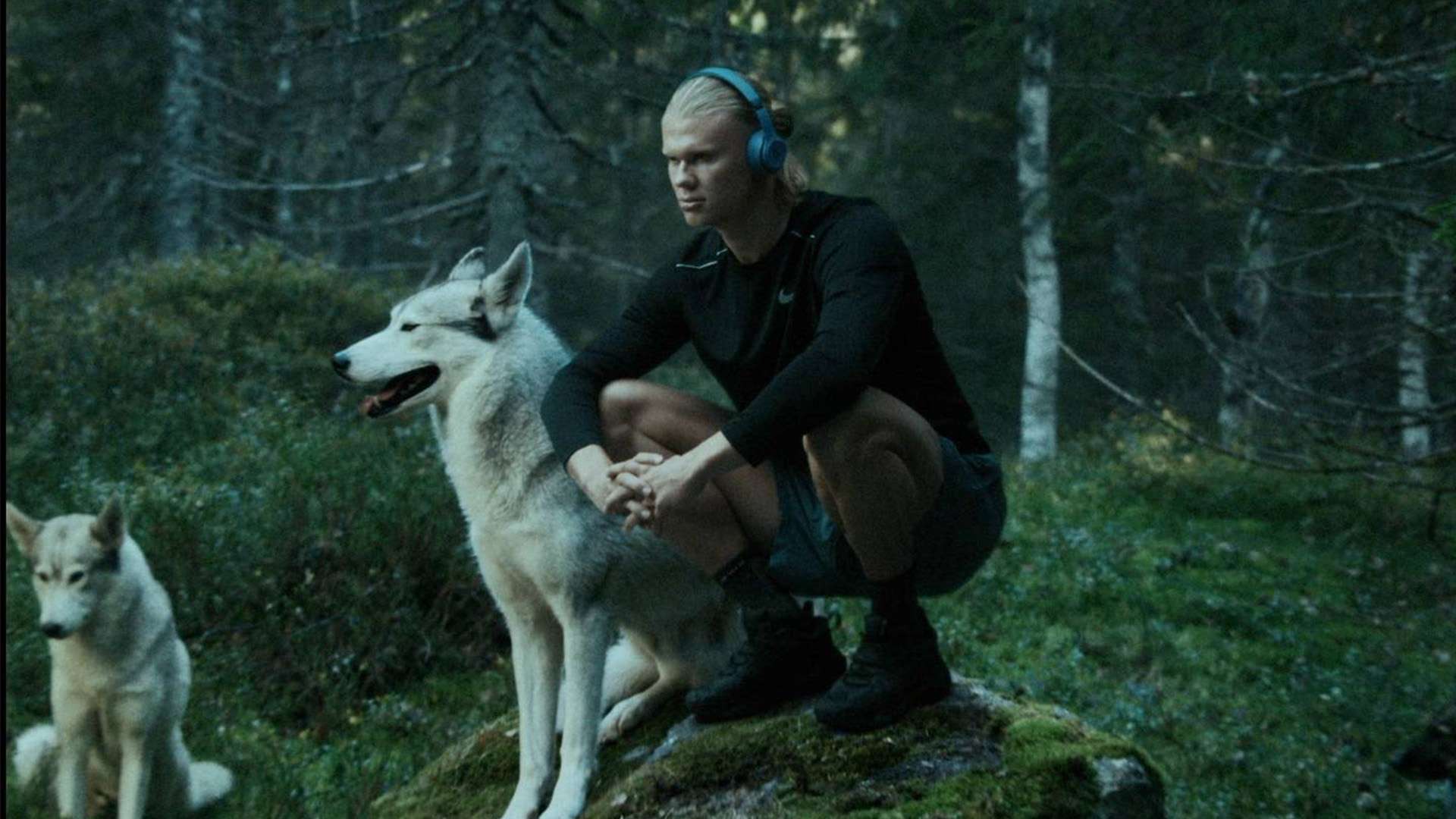 尚博主的影 尚博主的影