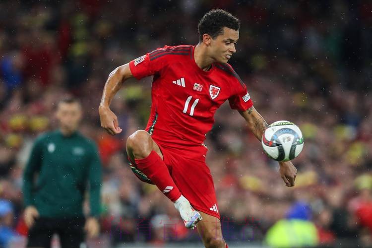 世体:红牌罚下贝林的裁判遭网暴后关闭社媒评论 世体:红牌罚下贝林的裁判遭网暴后关闭社媒评论